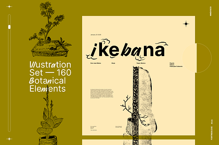 Ikebana Botanical Illustration Set, a Decorative Illustration by Nomad Visuals