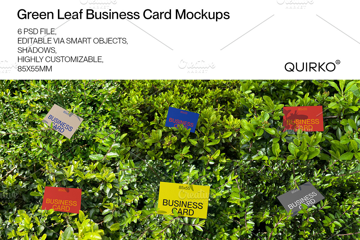 Green Leaf Business Card Mockup, a Mockup by Quirko (Photo 1 of 7)