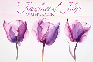 Watercolor Translucent Tulip Vector