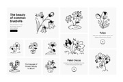 75 Flower Doodles, an Outline Icon by Prosymbols (Thumbnail 4 of 6)