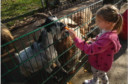 Adorable cute preschool girl feeding, a Textures & Material 3D Model by MadPhotos