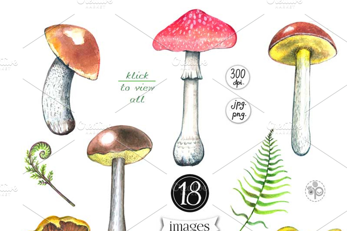 Mushrooms, an Illustration by zurzur (Photo 3 of 4)