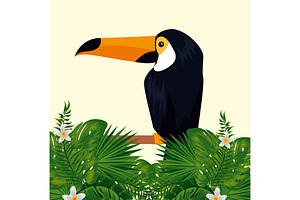 Toucan With Exotic Flowers And