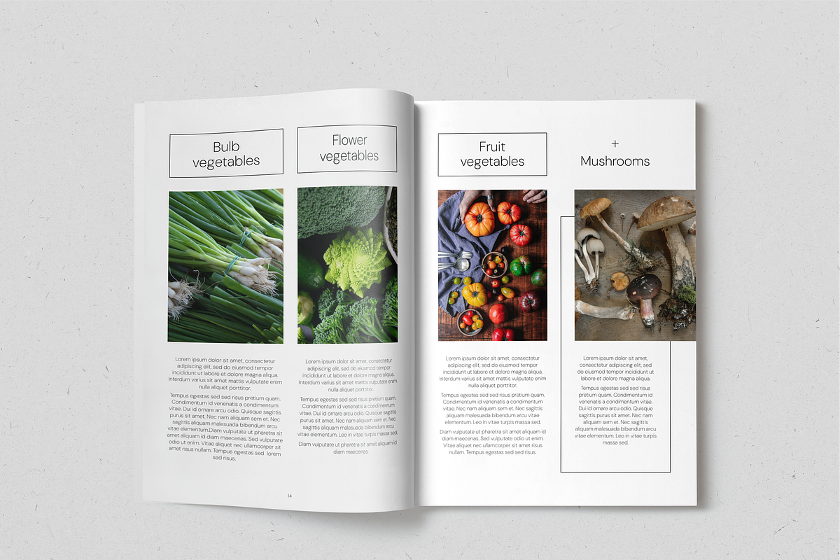 Everyday Veggies Recipe Book, a Magazine Template by SonaGeciova (Photo 8 of 17)
