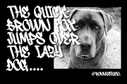 Snikers Bold Urban Graffiti Font, a Blackletter Font by Ronny Studio (Thumbnail 8 of 8)