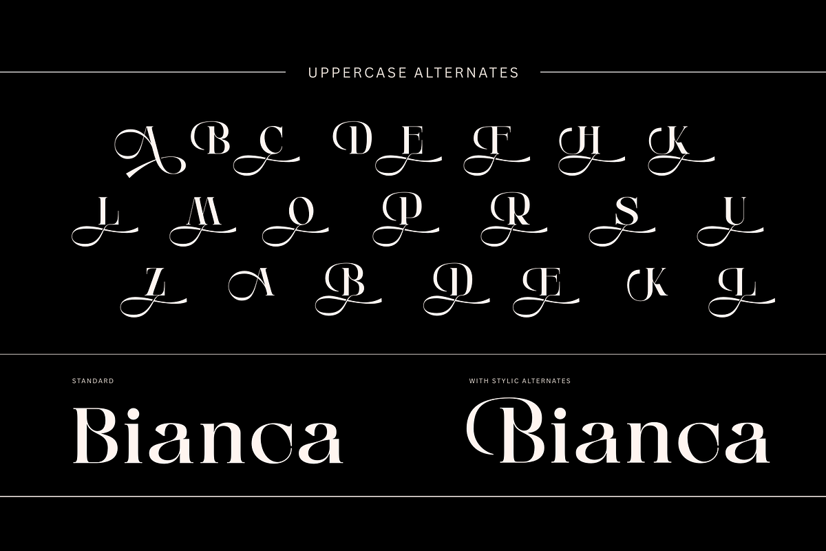 Anikea - Luxury Branding Logo Font, a Serif Font by Nirmana Visual (Photo 4 of 11)