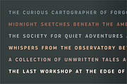 Shifti - Organic Display Typeface, a Handwritten Font by alpercakici (Thumbnail 10 of 17)