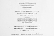 Vintage Serif Font Apostrophe, a Serif Font by pixelcolours (Thumbnail 11 of 15)