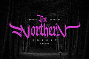 Ventralie, a Blackletter Font by Vintage Division (Thumbnail 3 of 10)