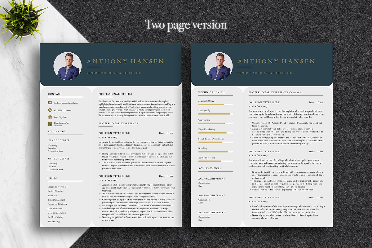 Professional Canva CV Template Pack, a Resume Template by Lux Resume (Photo 2 of 9)