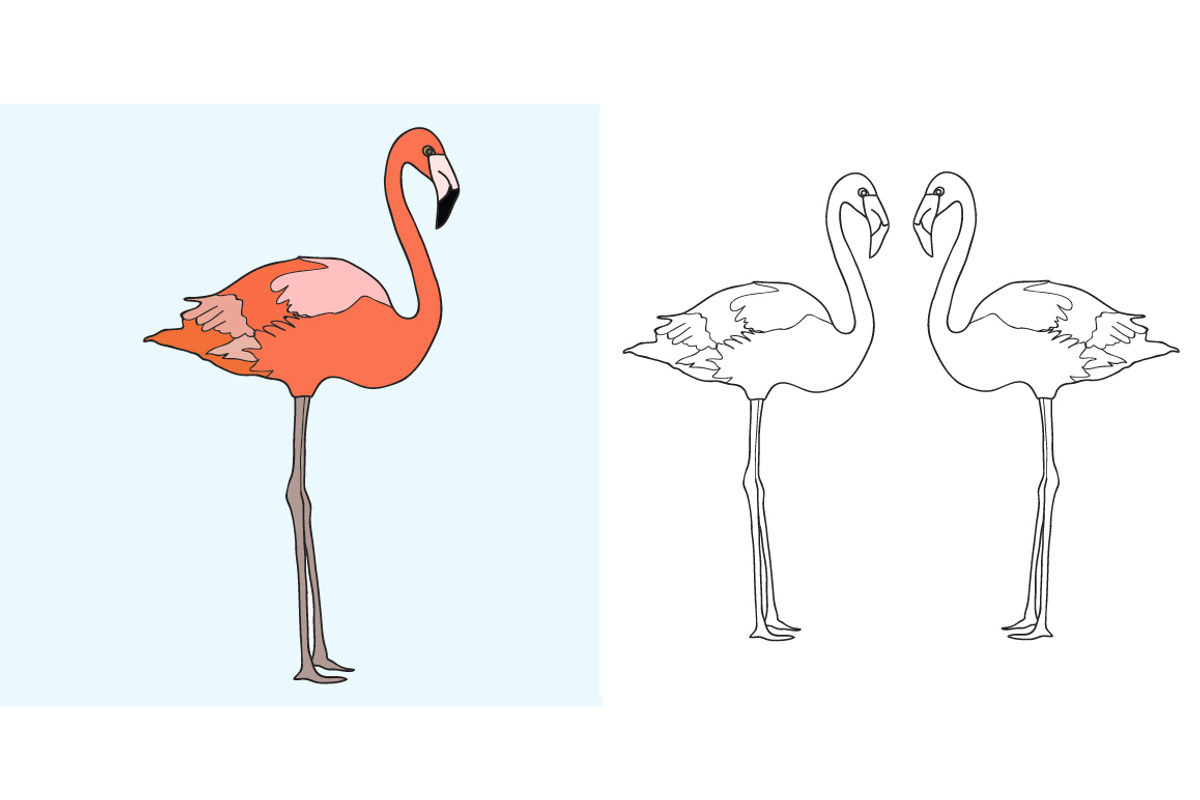 Vector set with flamingos, a Background Graphic by lycka (Photo 2 of 4)