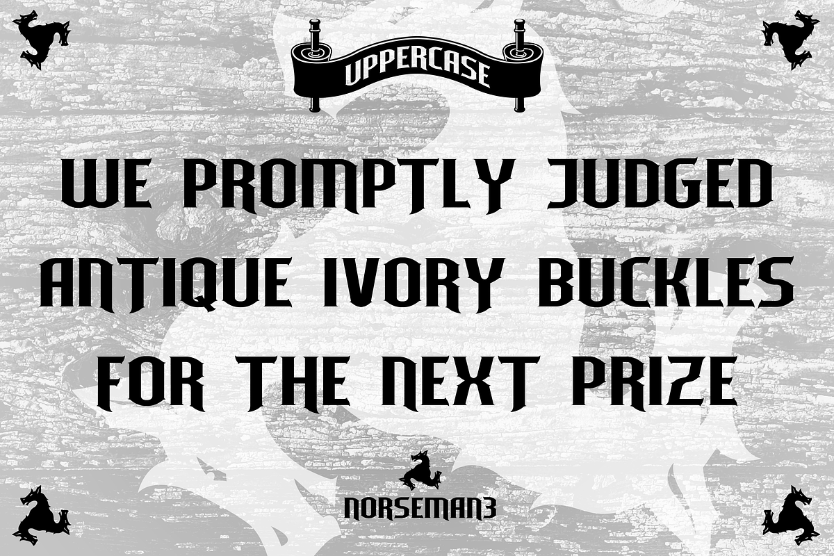 Norseman 3 Font, a Font by Alphabet Agency (Photo 2 of 5)