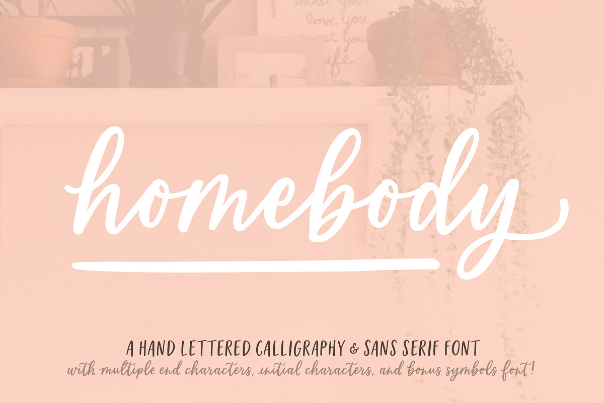 Homebody | Calligraphy Script Font
