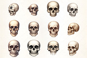 Creepy Skull Clipart, an Illustration by CrexoraLab (Thumbnail 5 of 5)