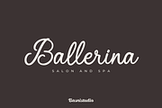 Cattalague a Script Font, a Script Font by Basnistudio (Thumbnail 2 of 11)