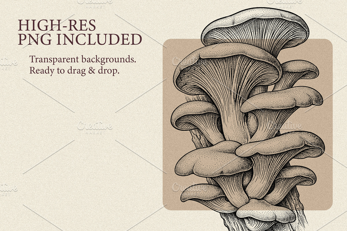 35 Mushrooms & Fungi–Engraved Vector, an Object Graphic by Gonez Studio (Photo 11 of 13)