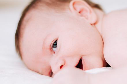 portrait of a newborn in studio lighting against white, a Person Photo by rubenchase
