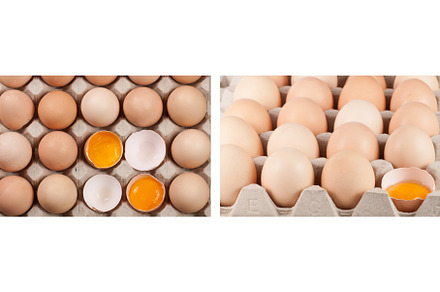 Eggs in the tray as a background, a Food & Drink Photo by NataPhoto
