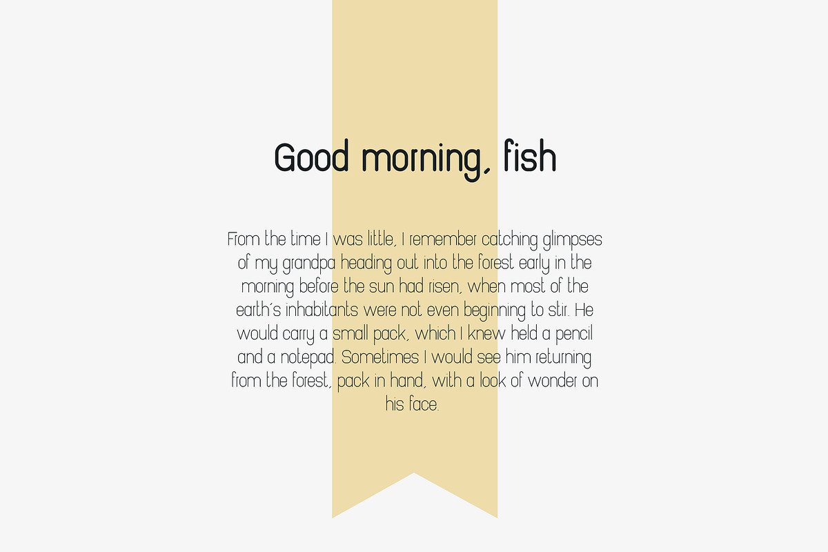 Pinchik Sans Family (5 fonts) -70% preview 5