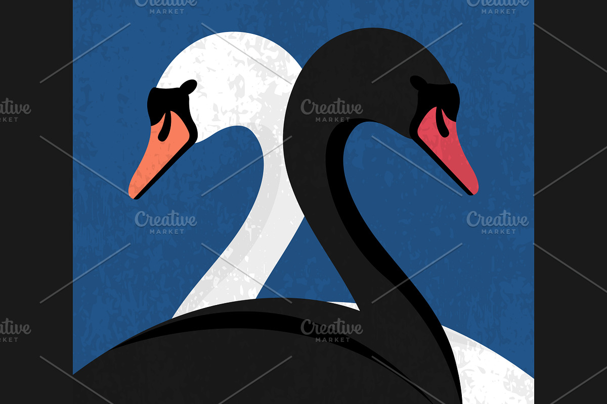 Black and White Swans, an Animal Illustration by PsychocheArt (Photo 3 of 3)