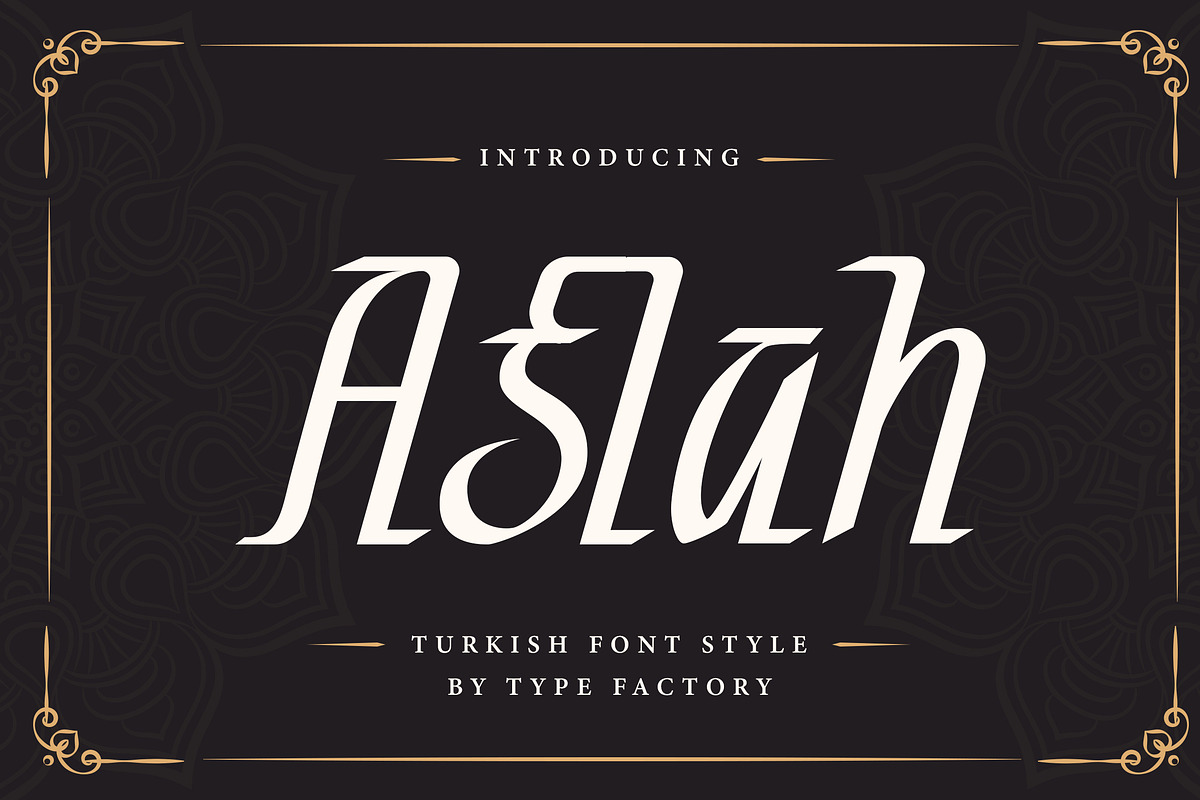 Aslah - Turkish Font Style, a Font by Typefactoryco (Photo 1 of 10)