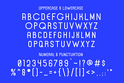 Forrest Gallery Modern Display Font, a Sans Serif Font by Lettertype Studio (Thumbnail 12 of 15)
