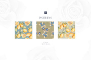 Watercolor lemon and blueberry, an Illustration by MariGraphic boutique (Thumbnail 11 of 13)