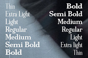 Minims - Serif Retro Family Series, a Serif Font by Flawless And Co (Thumbnail 11 of 11)