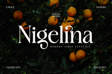 Nigelina - Modern Vintage Serif