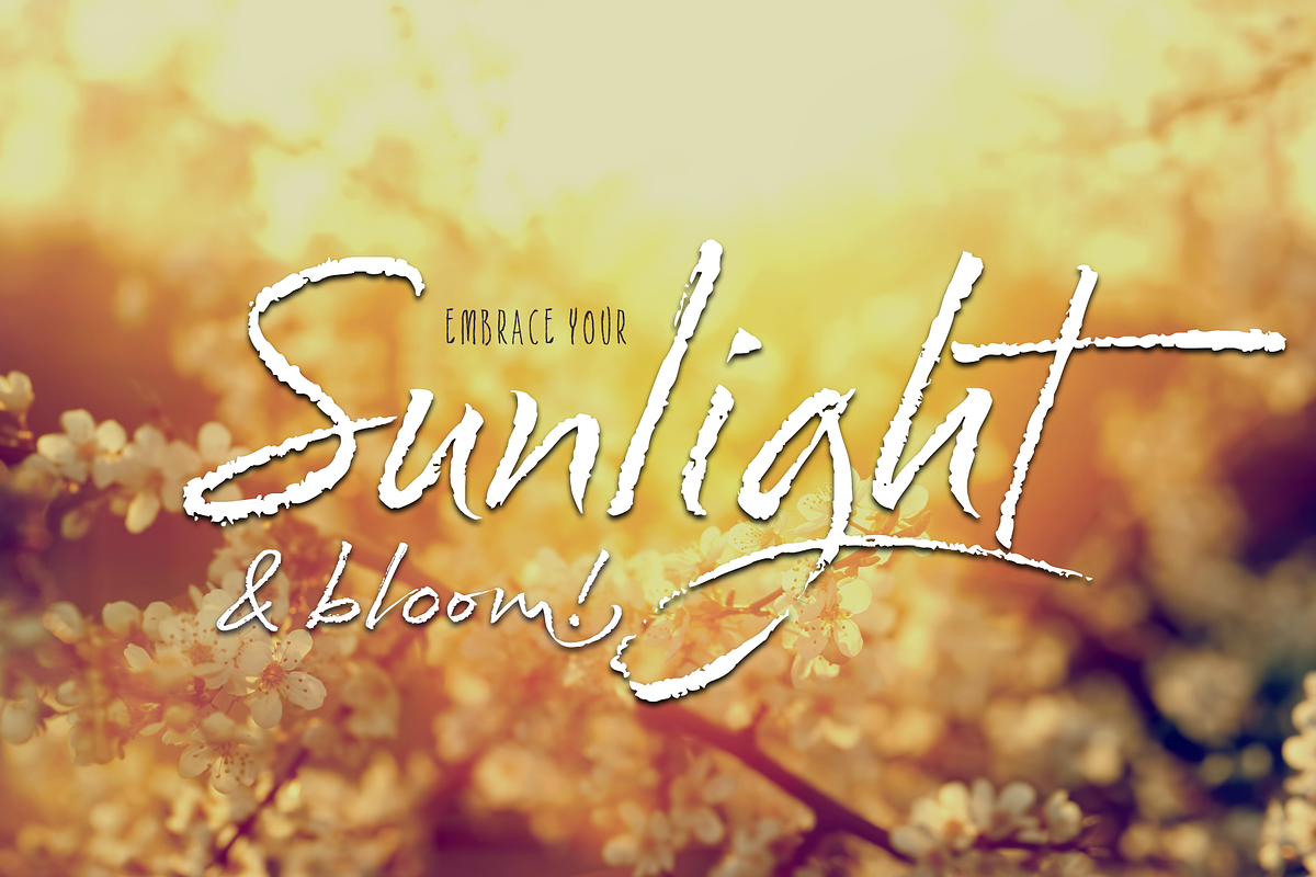 Cherry Blossoms Script Typeface preview 2