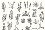 140 + Hand-Drawn Summer Set, an Object Illustration by Veyla (Thumbnail 7 of 16)