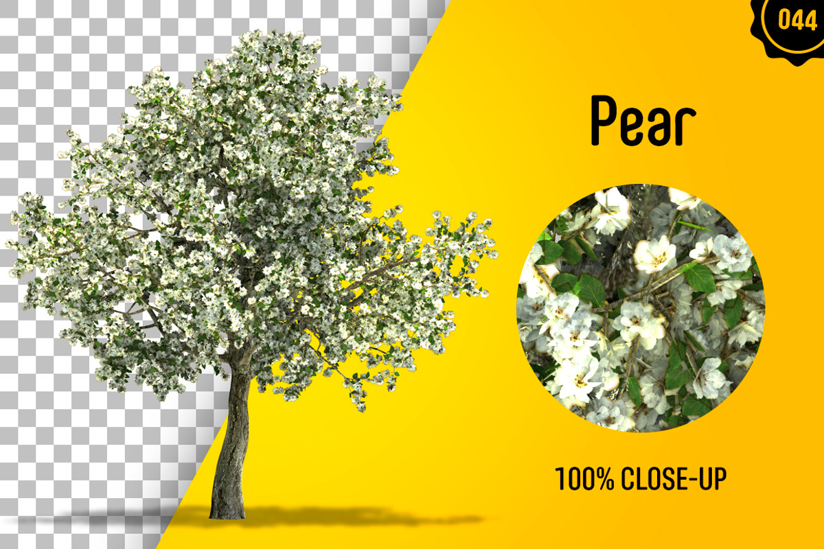 CUT OUT TREES - 60 PCS BUNDLE, a Packaging Mockup by 3DSTORE (Photo 45 of 63)