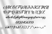 Pumpkin Script, a Script Font by Typehill (Thumbnail 11 of 16)