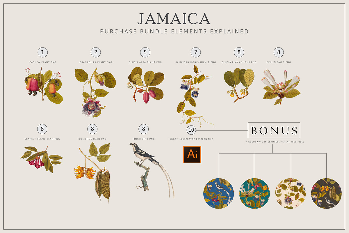Tropical PNG Element & Pattern, a Pattern Graphic by Artifactory Studios (Photo 4 of 7)