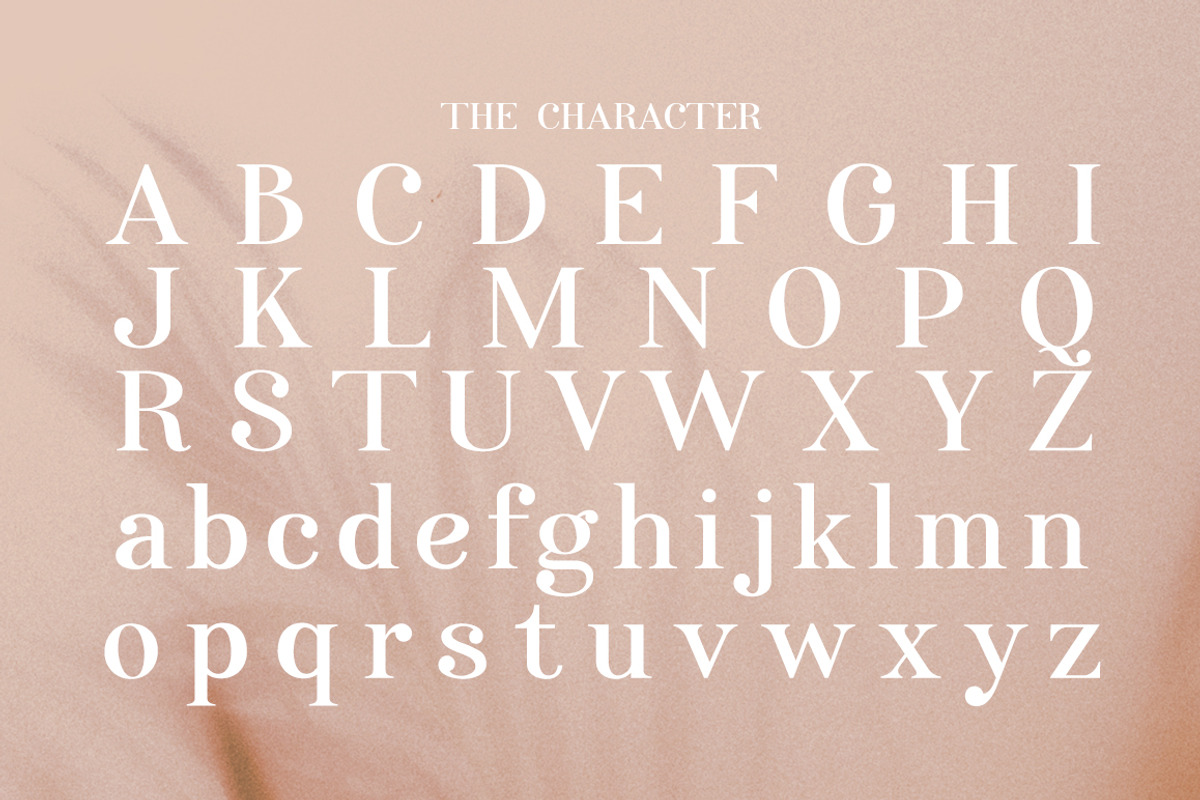 Anggie Display, a Serif Font by Gatype (Photo 8 of 11)