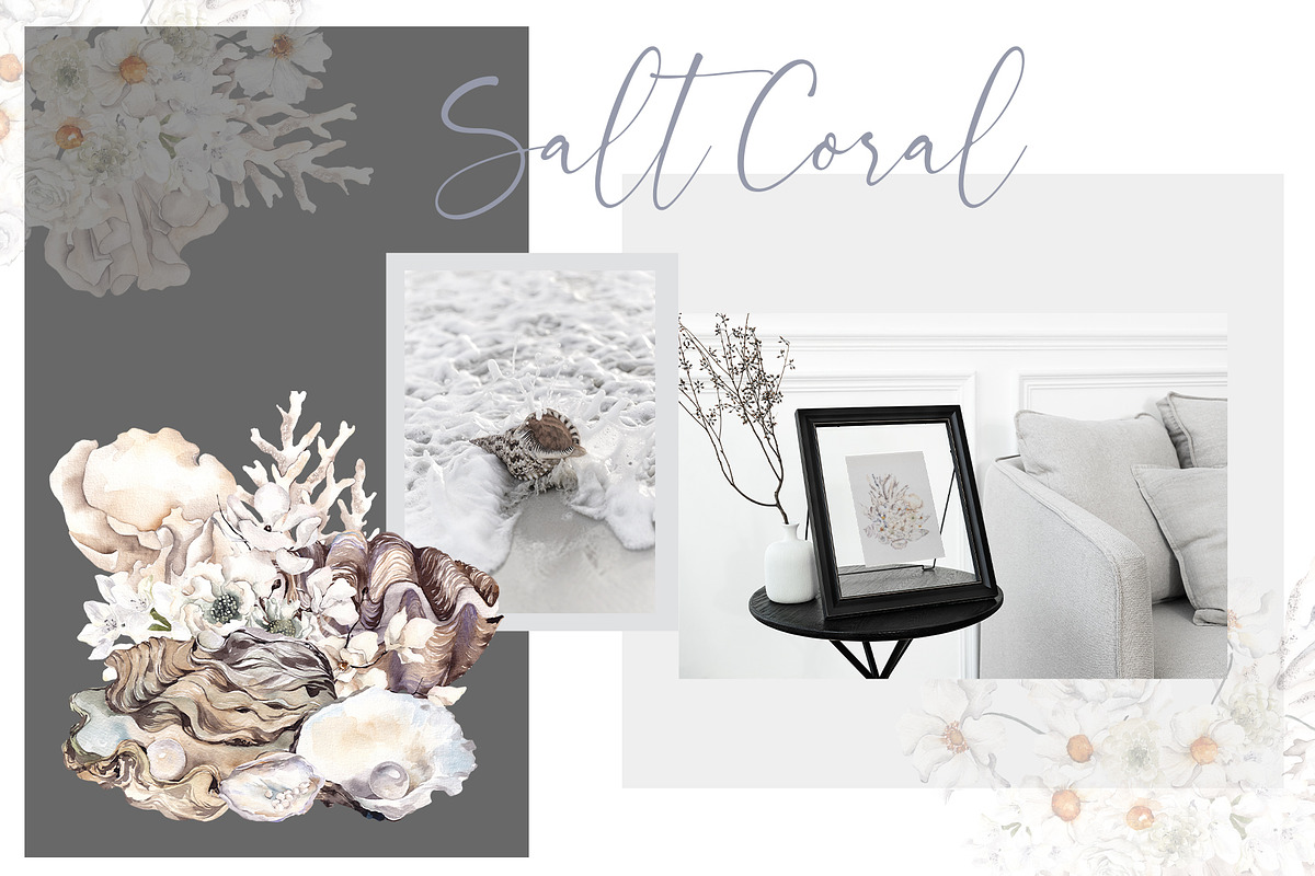 Salt Coral. Sea shell and flowers., an Object Illustration by ma_i_vi (Photo 4 of 12)