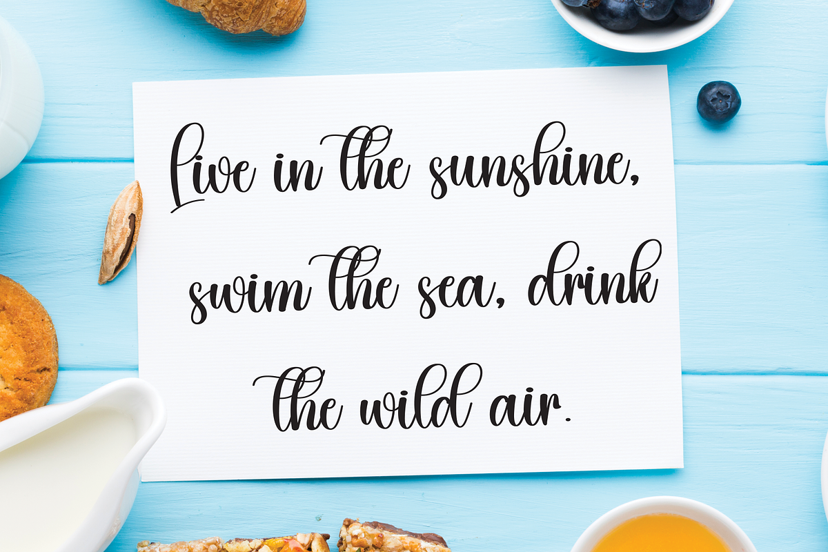 Stylish | Script Font, a Handwritten Font by Scratchones (Photo 3 of 9)