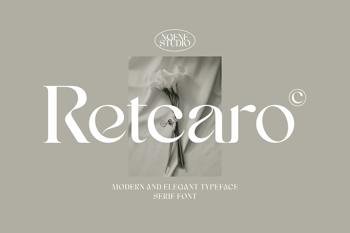 Retcaro Serif, a Serif Font by ngene (Photo 1 of 8)