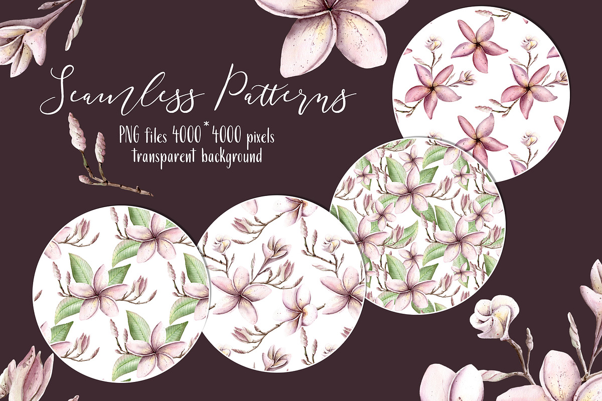 Frangipani Floral Watercolor Clipart, a Decorative Illustration by Sha1nee (Photo 3 of 5)