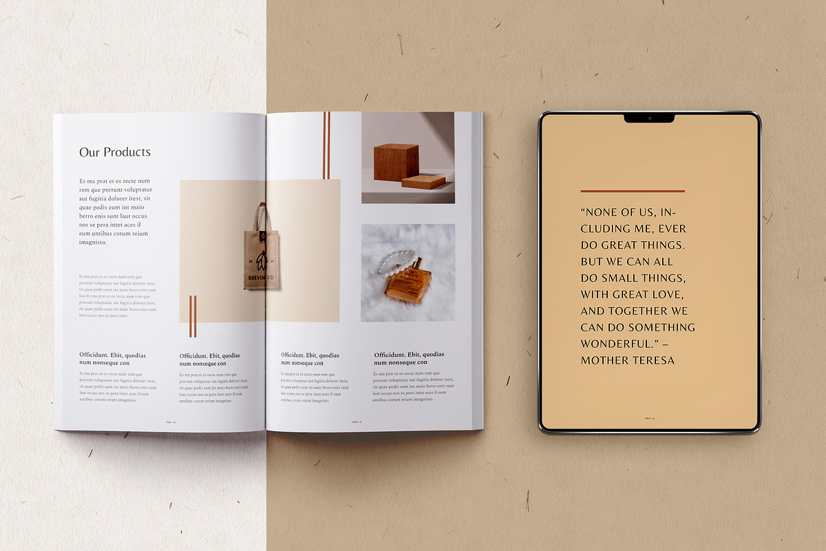 Ecommerce Business Plan / Canva, a Brochure Template by BrochuresFactory (Photo 6 of 11)