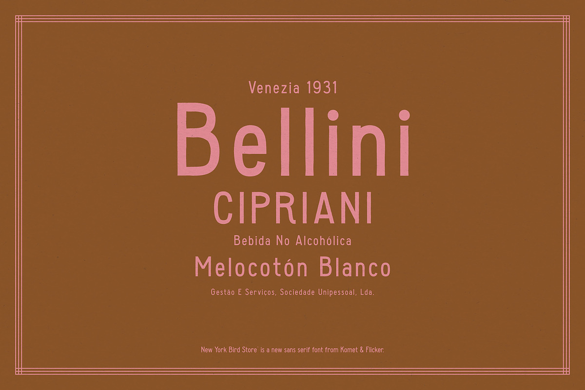 New York Bird Store, a Sans Serif Font by Komet & Flicker (Photo 12 of 13)