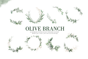 Olive Branch