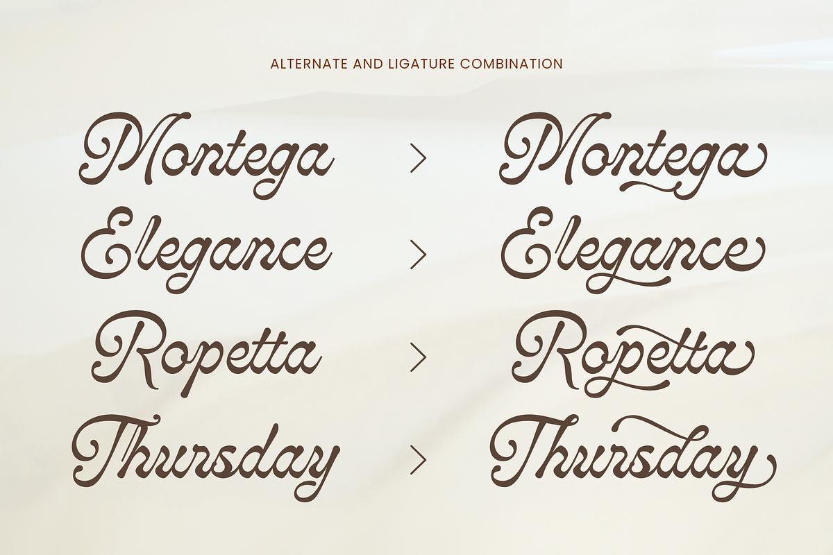 Monthera - Classy Script Font, a Font by Sronstudio (Photo 4 of 17)