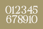 Journey to Paradise - Modern Stylish, a Serif Font by RockboyStd (Thumbnail 8 of 12)