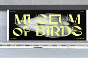 Gunter Display Font, a Sans Serif Font by That That Creative (Thumbnail 2 of 20)