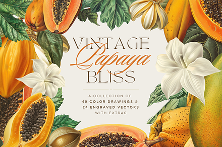 Vintage Papaya Graphics & Vectors
