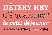 Obla, a Serif Font by LetterPalette (Thumbnail 7 of 9)