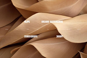 Organic Backgrounds