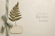 Tendriline Botanical Serif Font, a Serif Font by Graphic Spirit (Thumbnail 5 of 8)