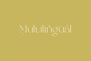 Brillant - Stylish Ligature Serif, a Serif Font by suhadidesign (Thumbnail 8 of 10)